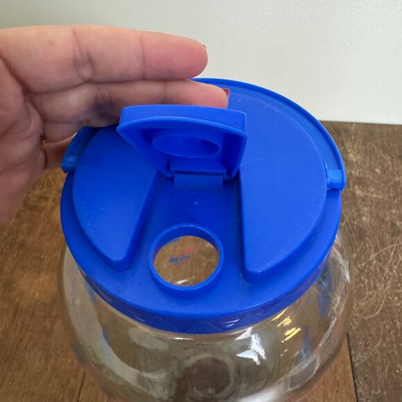 Vintage GALLON Blue Pink‎ Birdhouse Design Glass Drink Dispenser - Picture 6 of 11